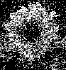 Image converted to monochrome using Jarvis, Judice & Ninke Dithering
