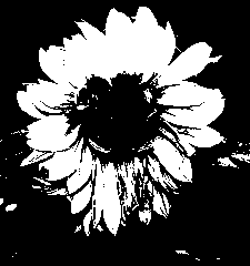 Processed image created using average dithering