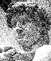 Image converted to monochrome using Random Dithering